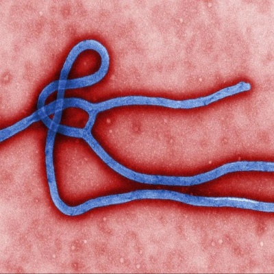 Ebola Death Toll Passes 4,600 as Nigeria Reports First Case